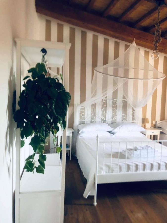 Ab B&B Ischia di Castro Ngoại thất bức ảnh